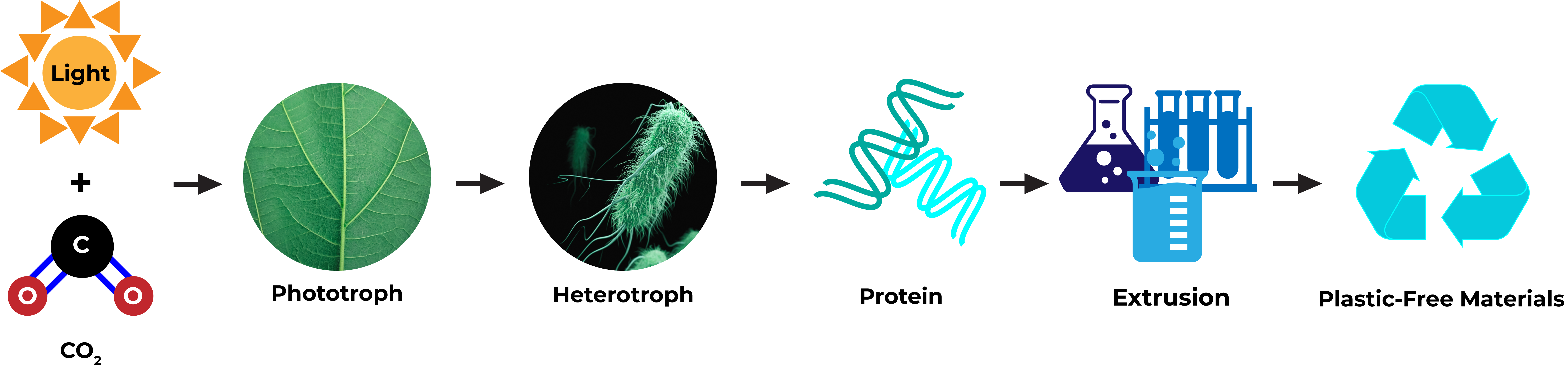 plastic-free process