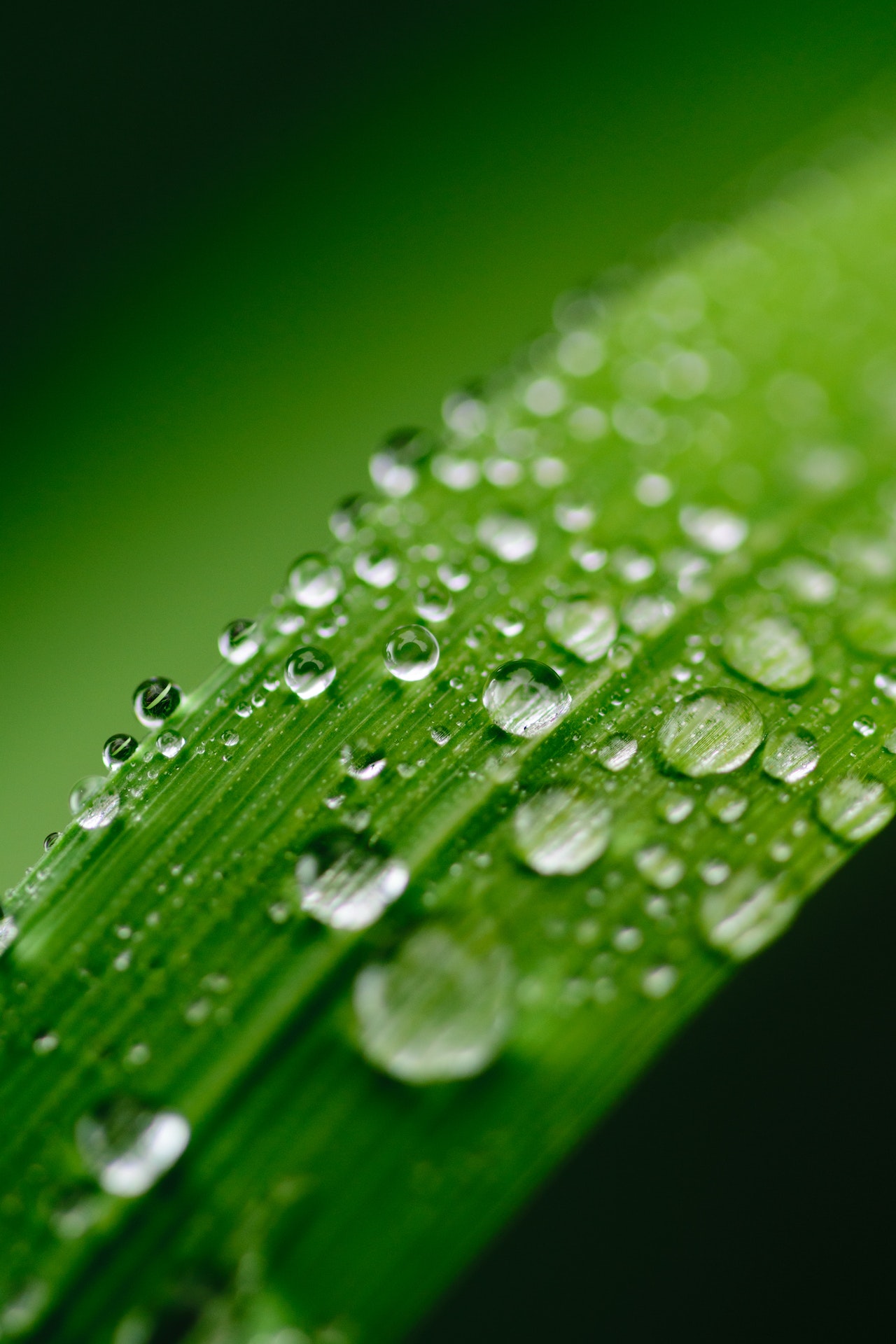 green tech
